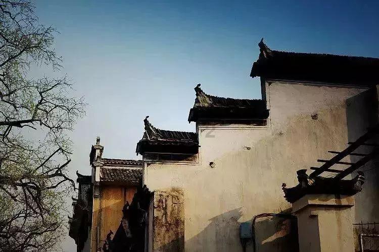 救援卡通小象